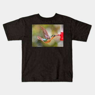 Purple-throated Mountain-gem Hummingbird Kids T-Shirt